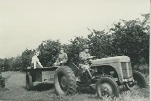 Trailer: Fordson Vintage Tractor and Trailer