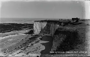 Seaweed: Foreness Point, Cliftonville