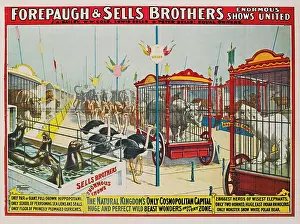 Forepaugh: Forepaugh & Sells Brothers - circus