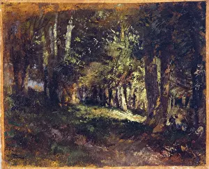 Ziem: The Forest