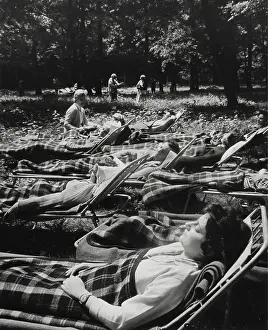 Sanatoriums: Forest area of the state sanatorium in Sopron. 1962. Pho