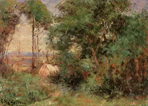 Mccubbin: Forest Camp