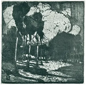 Hankey: Forest Clouds