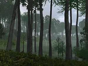 Conifer: A forest of Cordaites and Araucaria