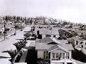 Derricks: Forest of derricks in the Signal Hill oil ?