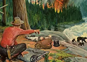 Camper: Forest Fire