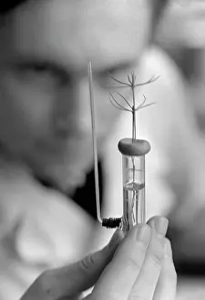 Biochemistry: Forest insititute of Karelian branch of the Academy