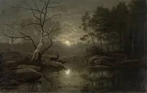 Saal: Forest Landscape in the Moonlight