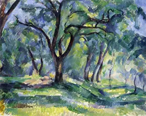 Cezanne: The Forest, by Paul Cezanne