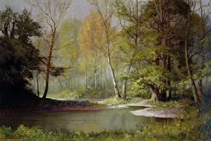 Denton: The Forest Pool