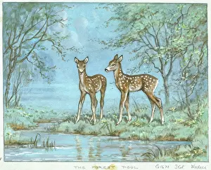 Butterworth: The Forest Pool with deer