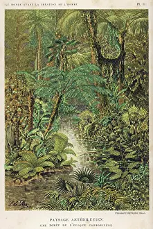 Antediluvian: Forest Primeval