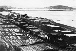 Karri: Forest railway, Western Australia