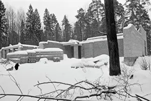 Zhigailov: Forest reserve