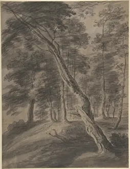 Dartois: Forest Scene with Tree in Foreground, 17th century