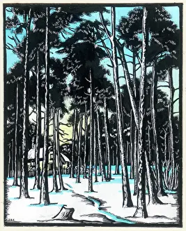 Gladys: Forest with Snow