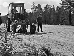 Transplant: Forests planting