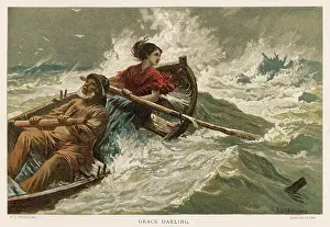 Farne: Forfarshire Shipwreck