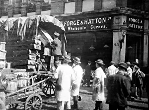 Hatton: Forge and Hatton, Wholesale Fish Curers, Billingsgate Market