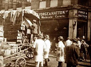 Hatton: Forge and Hatton, Wholesale Fish Curers, Billingsgate Market