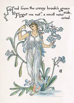 Forgetmenot: Forget-Me-Not