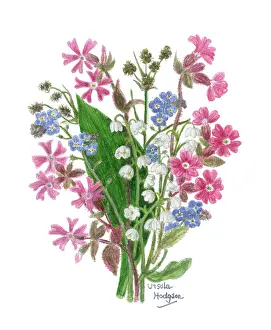 Forget Me Not: Forget-me-not, Lily of the Valley, Campion