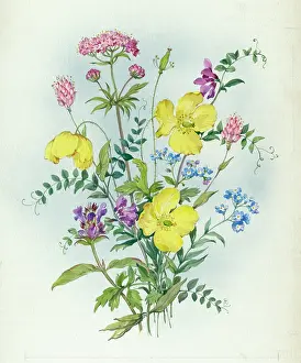Nots: Forget-me-nots and other assorted flowers