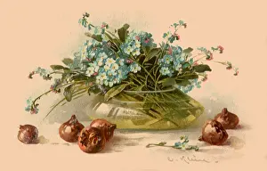 Klein: Forget-Me-Nots and Medlars