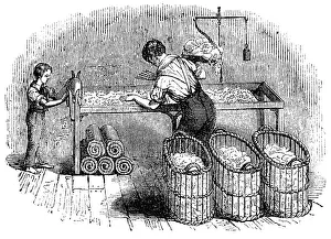 Baskets: Forming cotton into laps so that it could be