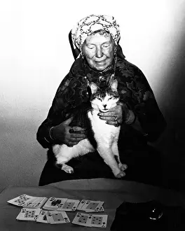 Familiars: FORTUNE TELLER & CAT