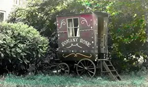 Palmistry: Fortune Teller's Caravan - Romany Rose