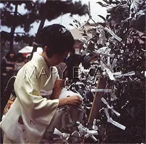 Fastens: FORTUNE TELLING 1975