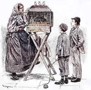 Divination: FORTUNE TELLING BIRDS