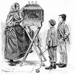 Divination: FORTUNE TELLING BIRDS