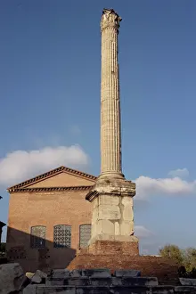 Honorific: Forum, Rome, Italy