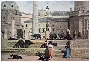 Roam: FORUM OF TRAJAN/1890S