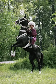 Stallion: Fosfor-2 stallion