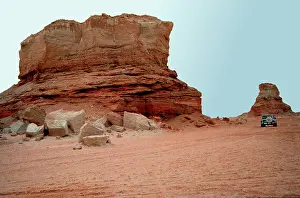 Dhabi: Fossil bearing rocks, Abu Dhabi