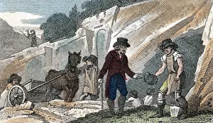 Ongar: Fossil hunting in Cherry Hinton chalk pit, Cambridgeshire