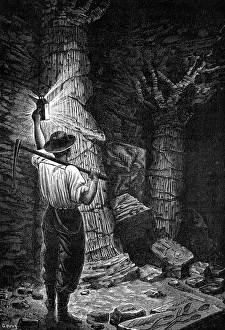 Pickaxe: Fossil trees in coal mine