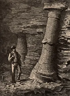 Etienne: Fossilised tree trunks in Treuil coal mine, St