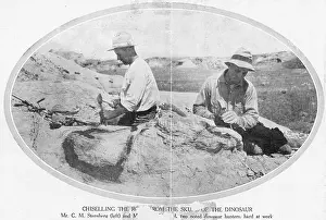 Chiselling: FOSSILS/PALAEONTOLOGISTS
