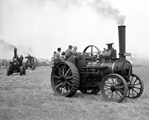 Sprig: Foster General Purpose Engine Sprig UP 6481