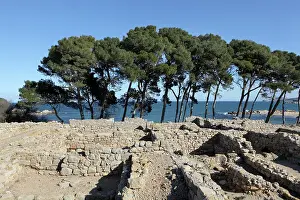 Escala: Foundations of the Greek metropolis of Neapolis