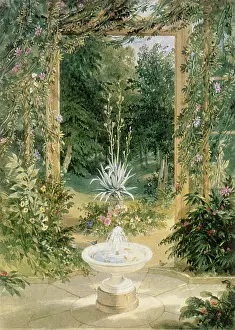 Trellis: Fountain and Trellis