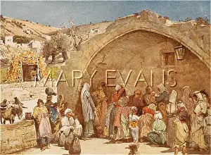 Fetched: FOUNTAIN OF THE VIRGIN