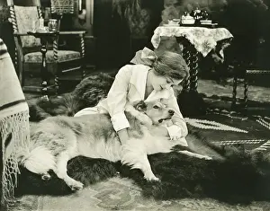 Stroking: Four-legged friend -