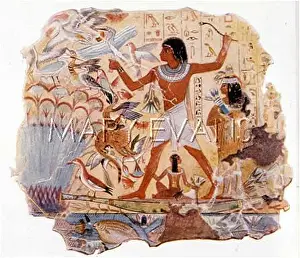 Profusion: FOWLING IN EGYPT