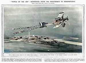Euphrates: Fowls of the Air