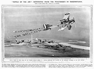 Euphrates: Fowls of the Air